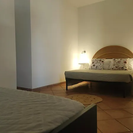 Oltre La Vite Selva Di Fasano